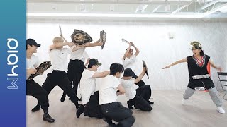 김남주 'Bird' 안무 연습 영상 (Choreography Practice Video) Costume Ver.