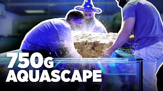 It Took 7 People to Aquascape This Tank! [4K]