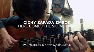 Cichy zapada zmrok (Here Comes the Silent Dusk) - Pat Metheny \u0026 Anna Maria Jopek Cover