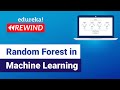 Random Forest in Machine Learning  | Machine Learning Training | Edureka | Machine Learning Live - 3