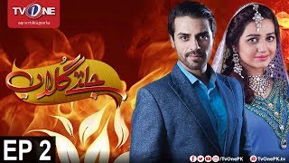 Jaltay Gulab | Episode 2 | TV One Classics | 11th November 2017