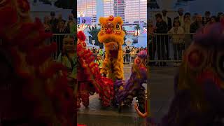 Chinese New Year Lion Dance - Lohan School of Shaolin - Caesar's Palace - Las Vegas - 2/1/2025