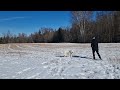 throwing snowballs to my dog 👀😍 kiro