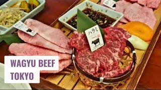 Wagyu Beef Experience - Tokyo Restaurant that uses the Best Wagyu in the World