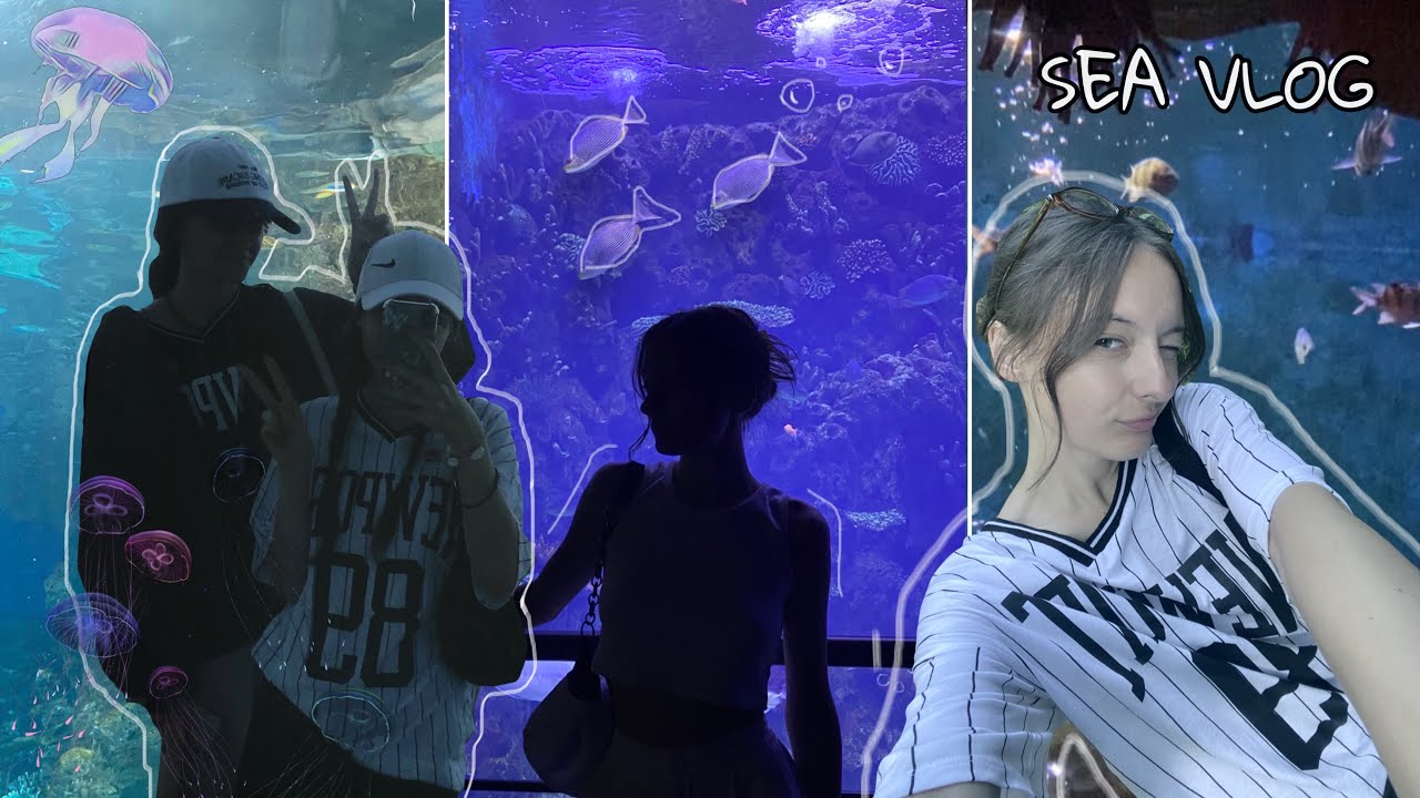 Sea Vlog Indonesian And English Subtitles Youtube