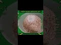 Medium Bucket  Meal Worm Breeding Kit Diary Breeding Log Day 1, Setting Up The Kit Short