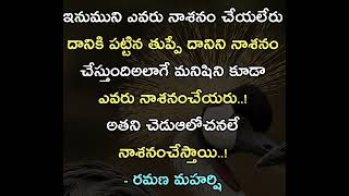 రమణ మహర్షి // ఇనుముని ఎవరు నాశనం చేయలేరు దానికి పట్టిన తుప్పే దానిని నాశనం చేస్తుంది