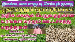 நிலக்கடலை சாகுபடி செய்யும் முறைகள் அதன் முக்கியத்துவம்