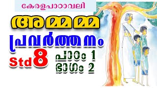 Std 8 അമ്മമ്മ പ്രവർത്തനങ്ങൾ  Class 8 Malayalam Unit 1 part 2 Ammamma Activities