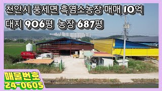 천안시 풍세면 흑염소 농장 대지 906평 축사 687평 1000마리 수용 가능한 농장 처분합니다