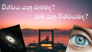 විශ්වය යනු ඔබමද? ඔබ යනු විශ්වයමද?....#universe  #Spirituality #energy🧿