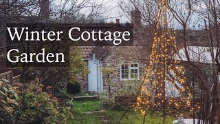 December Cottage Garden - Christmas Trees and Putting the Garden to Bed