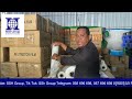 ssh group យើងខ្ញុំមានផ្គត់ផ្គង់​បោះដុំ និងលក់រាយ ស្គតរុំទំនិញ 3kg 4kgនិង 15kg តម្លៃផ្ទាល់ពីរោងចក្រ