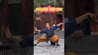 Rare Seen Shaolin Tai Chi,  The true harmony of yin and yang.#martialarts #fitness #sports