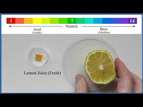 Is lemon juice an indicator?