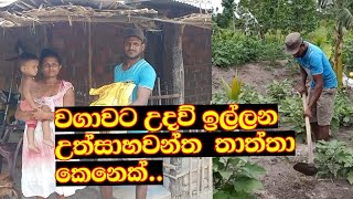 වගාවට උදව් ඉල්ලන තාත්තෙක් |A poor father asking for help in farming