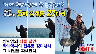 겨울에 혼자서 5짜 감성돔 27마리? 거제 양지암 대물 감성돔 달인의 비법, 전유동 장타낚시 전면 공개! [디낚TV]