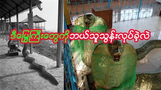 မန္တလေးတောင်ပေါ်က မြွေကြီးနှစ်ကောင်သမိုင်းအကြောင်