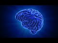 Brain Stock Video No Copyright Videos