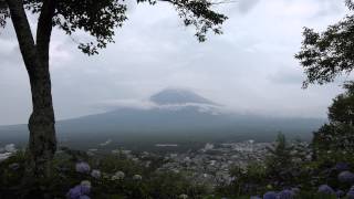 【4K/HD動画素材】富士山、雲、紫陽花、あじさい、天上山 【Stock Footage Video】Mt.Fuji, cloud, hydrangea