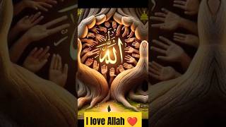 I love Allah ♥️ #allah