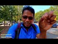 transport in milan පොදු ප්‍රවාහන නම් මෙන්න