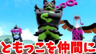 【ポケモンSV】ともっこ3匹を入手しよう！キタカミ準伝説の捕獲大作戦！【ポケモンスカーレットバイオレット】