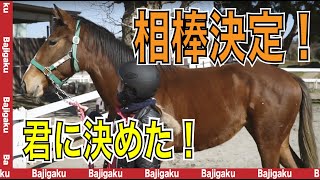 木之前葵騎手がクラファン支援馬の中から、名古屋で乗る馬を選んでみた！