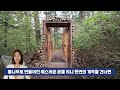 ai 뉴스 560년 광릉숲을 담은