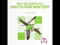 Why Do Birds Fly South For Winter