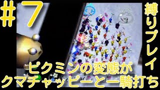 【ピクミン2】【クマチャッピー縛り】ピクミンの変態がクマチャッピーと一騎打ちpart7【ライジング】