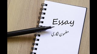 how to write an essay in Urdu/اردو میں مضمون کیسے لکھیں؟