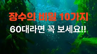 60대 이후 필수! 무병 장수 비결 10가지 – 가장 중요한 건?