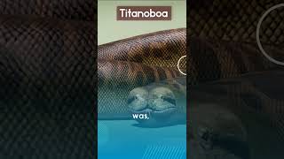 tanoboa: The Largest Snake That Ever Lived | Prehistoric Creatures | #Titanoboa #Prehistoric