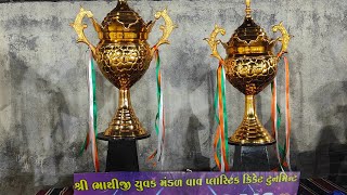 વાવગામ પ્લાસ્ટિક ક્રિકેટ સેમી ફાઈનલમાં(2)