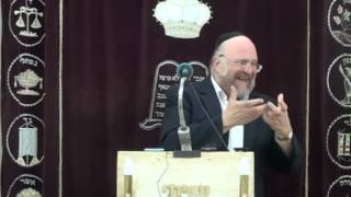 הרב ברוך רוזנבלום פרשת דברים 7 תשע״ד Rabbi Baruch Rosenblum