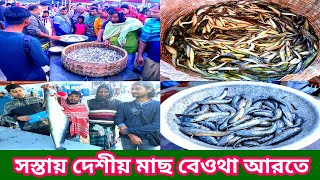 সস্তায় নদী ও বিলের তরতাজা দেশী মাছ বেওথা আরতে।Beutha Wholesale fish Market @Manikganjprotidin