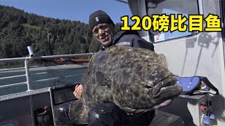 《河中巨怪》A063，荒野钓怪，钓出食物链顶端生物，120磅比目鱼