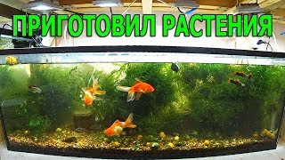 Растения для болота