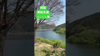 韓国　慶尚北道　ソンジュ湖 #korea #koreanlanguage