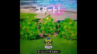 ポケモンガオーレ ダッシュ2弾 今すぐゲットにハマってますw