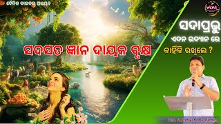 ସଦାପ୍ରଭୁ ଏଦନ ଉଦ୍ୟାନ ରେ ସଦସତ  ଜ୍ଞାନ ଦାୟକ ବୃକ୍ଷ କାହିଁକି ରଖିଲେ ? || Rev. R Parichha