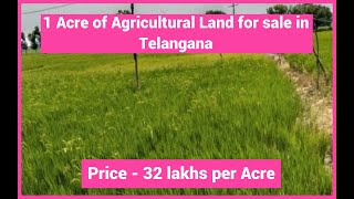 Telangana : 1 Acre of Agricultural Land for sale located at Ambam, Nizamabad District