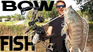 Shooting BACKYARD FISH | Hunting INVASIVE Blue Tilapia |Fishing My Neighborhood!