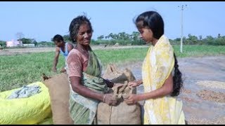 Beauty of Village | Green Village | அழகான கிராமம்