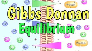 Gibbs Donnan Equilibrium  || Donnan Membrane Equilibrium