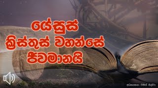 යේසුස් ක්‍රිස්තුස් වහන්සේ ජීවමානයි. (Jesus Is Alive)Jesus Is Alive