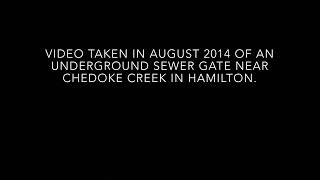 Hamilton sewage gate 2014
