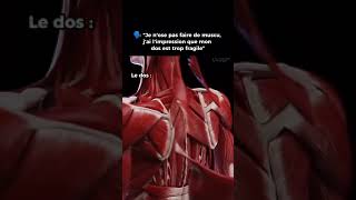 VISUALIZATION ANATOMY - ANATOMIE DU DOS