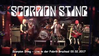 Scorpion Sting - The Scorpions Tribute - Holiday
